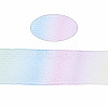 Mesh Ribbon PNT-S030-001A-3