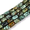 Natural African Turquoise(Jasper) Beads Strands G-G980-33A-1