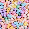 Glass Seed Beads SEED-K010-03K-2