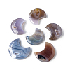 Natural Druzy Agate Display Decorations G-PW0004-17-1