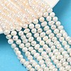 Natural Cultured Freshwater Pearl Beads Strands PEAR-L034-11A-1