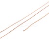 10M 304 Stainless Steel Wire TWIR-N005-0.3mm-RG-2