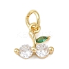 Brass Micro Pave Cubic Zirconia Charms LS-KK-H525-03B-G-1