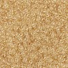 MIYUKI Round Rocailles Beads SEED-G007-RR0132L-3
