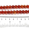 Natural Carnelian Beads Strands X-G-G390-8mm-03-2