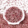 Baking Paint Glass Beads DGLA-T005-01A-11-1