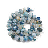 Natural Cherry Blossom Agate Beads Strands G-P535-I02-01A-3