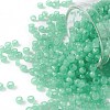 TOHO Round Seed Beads SEED-JPTR08-0156-1