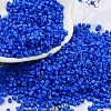 Baking Paint Glass Seed Beads SEED-S042-05B-77-1