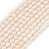 Natural Cultured Freshwater Pearl Beads Strands PEAR-D003-01D-15-2