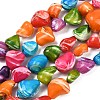 Natural Trochid Shell/Trochus Shell Beads Strands SHEL-B005-06-1