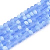Transparent Glass Beads Strands LS-EGLA-A044-T3mm-MB14-1