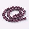 Textured Shell Pearl Beads Strands BSHE-K008-8mm-01-2
