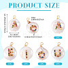 5Pcs 5 Styles Natural Cultured Freshwater Pearl Pendants PEAR-TA0001-30-4