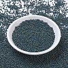 MIYUKI Round Rocailles Beads SEED-X0057-RR4516-2