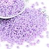 Lustered Glass Seed Beads SEED-K010-04A-1