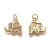 Brass Micro Pave Clear Cubic Zirconia Charms ZIRC-C020-35G-2