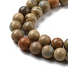 Natural Aqua Terra Jasper Strands G-S150-50-6mm-3
