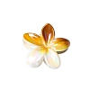 Resin Claw Hair Clips PW-WG93676-04-1