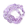 Natural Amethyst(Dyed & Heated) Beads Strands G-P497-01C-47-3
