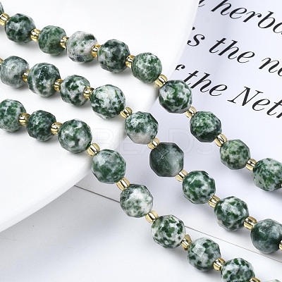 Natural Green Spot Jasper Beads Strands G-N326-100-07-1