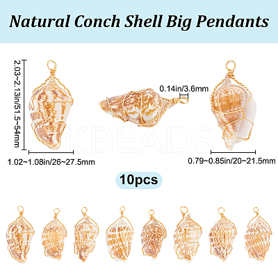 10Pcs Natural Conch Shell Big Pendants FIND-BBC0003-11-1