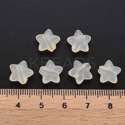 Transparent Acrylic Beads LS-MACR-S373-26E-11-1