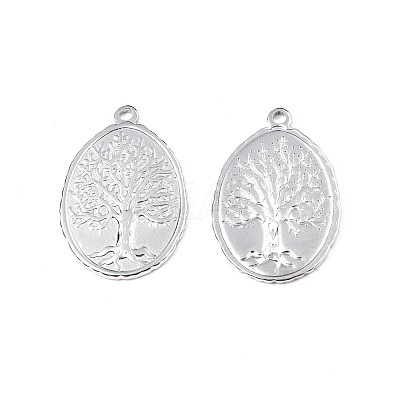 Non-Tarnish 201 Stainless Steel Pendants STAS-T063-188P-1