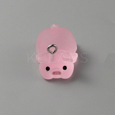 Luminous Translucent Resin Pendants RESI-SZC0004-01B-1