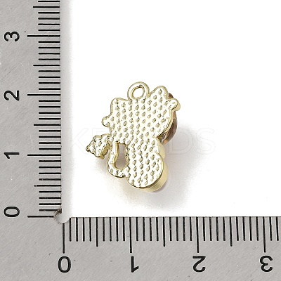 Brass Resin Pendants RE-CBAE379-13LG-1