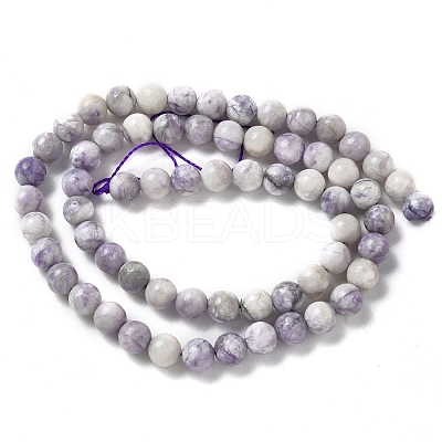 Natural Purple Turquoise Beads Strands G-L595-C04-01-1