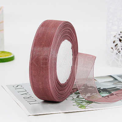 Polyester Organza Ribbon FABR-PW0001-003A-27-1