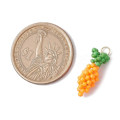 Glass Seed Beads Pendants PALLOY-MZ00458-01-1
