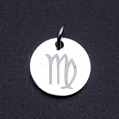 Non-Tarnish 201 Stainless Steel Charms STAS-T049-T643-6P-1