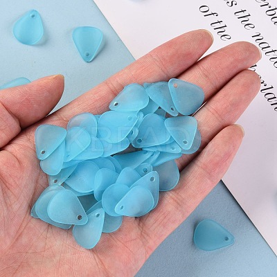 Transparent Frosted Acrylic Pendants MACR-S371-09A-755-1