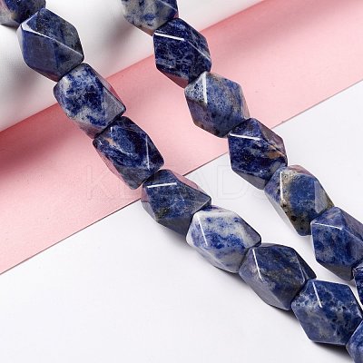 Natural Sodalite Beads Strands G-L235A-15-1