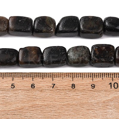 Natural Biotite Beads Strands G-D098-D15-1