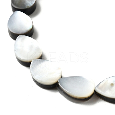 Natural Black Lip Shell Beads Strands BSHE-D300-04B-1