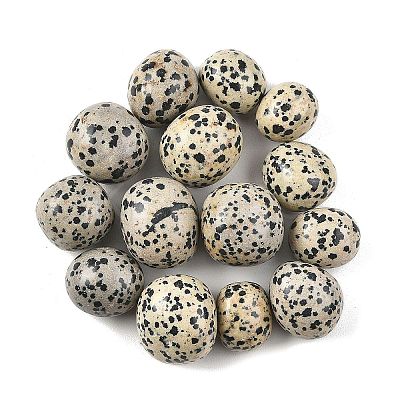 Natural Dalmatian Beads G-G348-01B-48-1