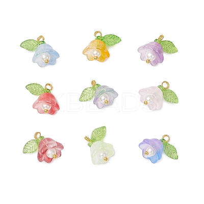 9Pcs 9 Colors Glass Charms PALLOY-MZ00838-1