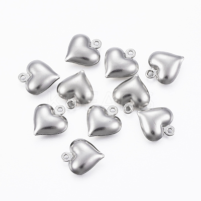 Tarnish Resistant 304 Stainless Steel Charms STAS-H413-16P-1
