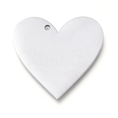 Tarnish Resistant 304 Stainless Steel Pendants STAS-L238-098B-P-1