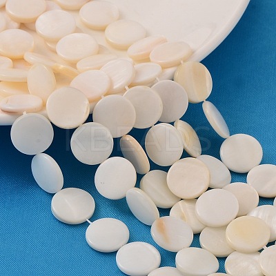 Natural White Shell Beads Strands X-PBB251Y-2-1
