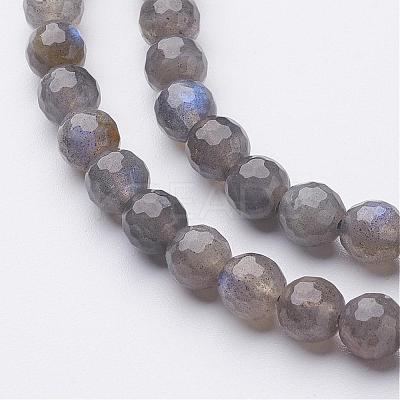Natural Labradorite Bead Strands G-G947-05-6mm-1