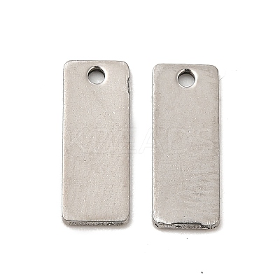 Non-Tarnish 201 Stainless Steel Charms STAS-P320-24P-1