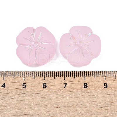 Frosted Transparent Acrylic Beads OACR-P029-19B-05-1