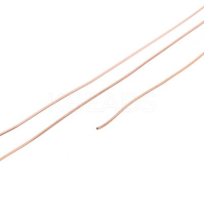 10M 304 Stainless Steel Wire TWIR-N005-0.3mm-RG-1