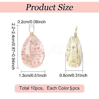 10Pcs 2 Colors Glass Pendants GLAA-YW0005-46-1