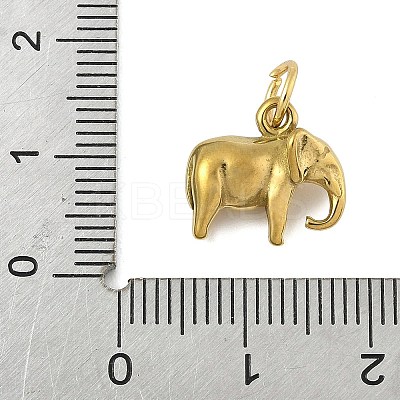 304 Stainless Steel Charms STAS-P391-01C-G-1