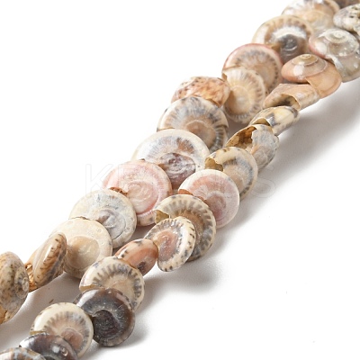 Natural Spiral Shell Beads Strands BSHE-G029-06-1